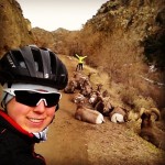 Back to the Land of Enchantment